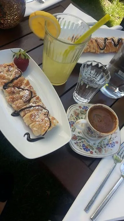 Sanart Guest House & Loca Garden Bergama Turkije